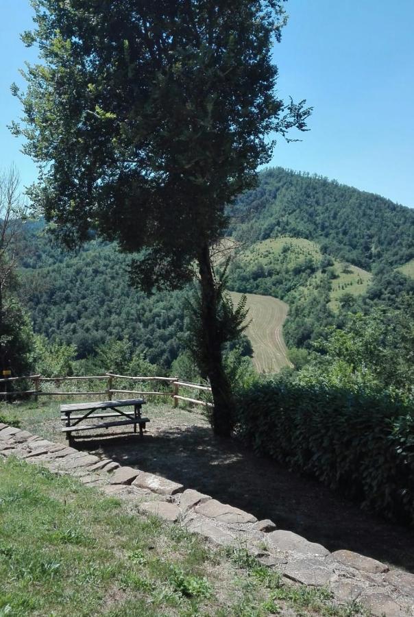 Country House Villa La Farfalla Pietralunga  Exterior photo